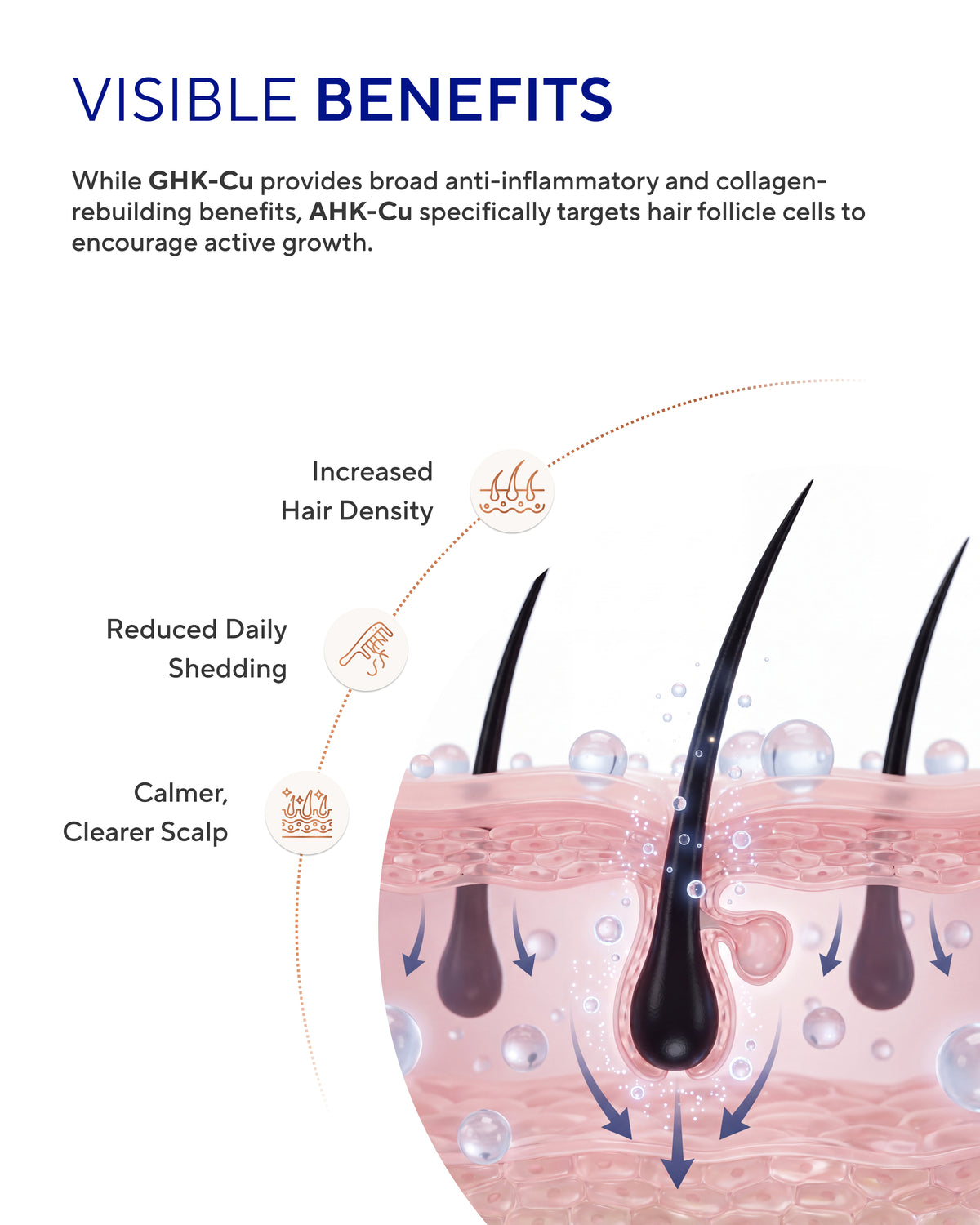 Copper Peptide Hair Serum (GHK-Cu &  AHK-Cu)
